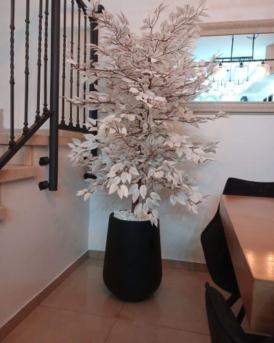 WhatsApp Image 2025-01-13 at 10.35.19