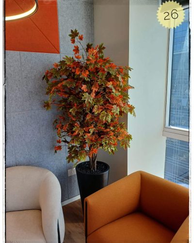 WhatsApp Image 2025-01-13 at 10.37.48