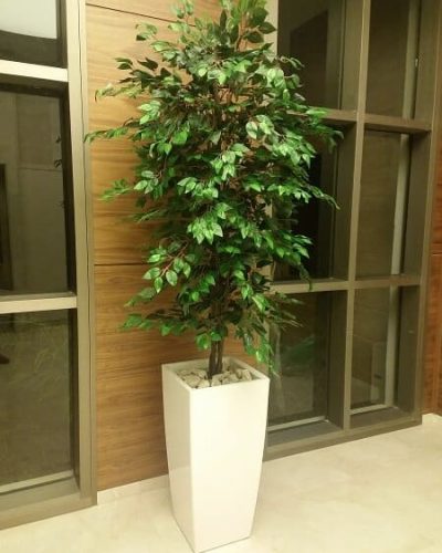 WhatsApp Image 2025-01-14 at 22.01.39