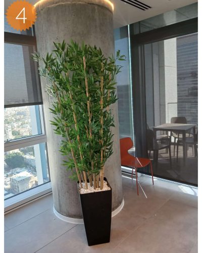 WhatsApp Image 2025-01-22 at 21.05.53